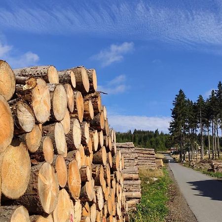 Harz Blick Daire Braunlage Dış mekan fotoğraf
