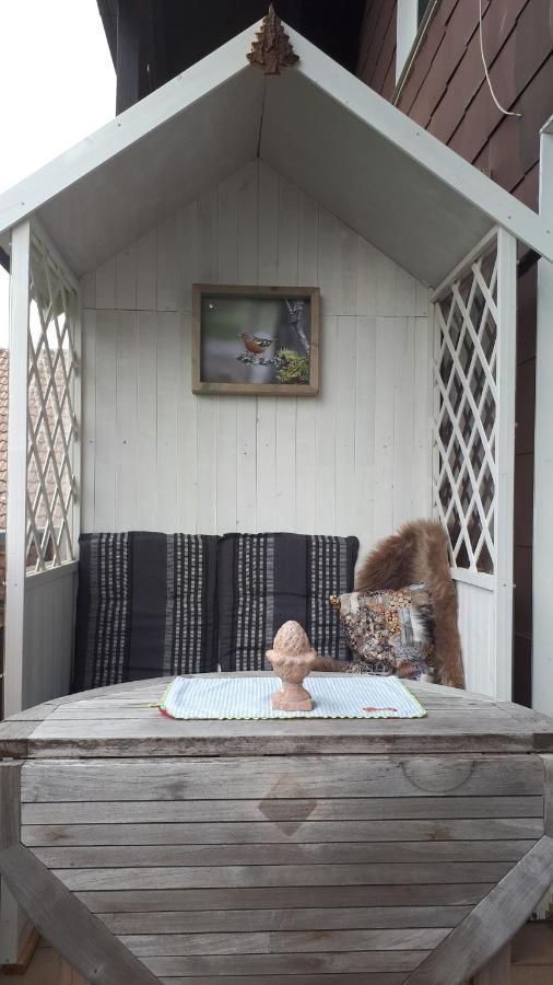 Harz Blick Daire Braunlage Dış mekan fotoğraf