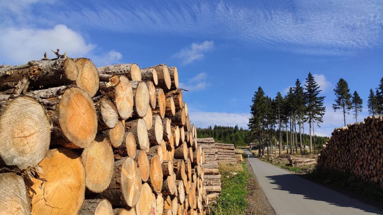 Harz Blick Daire Braunlage Dış mekan fotoğraf