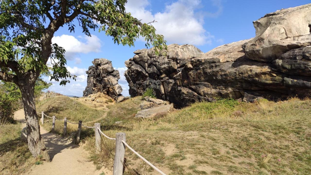 Harz Blick Daire Braunlage Dış mekan fotoğraf