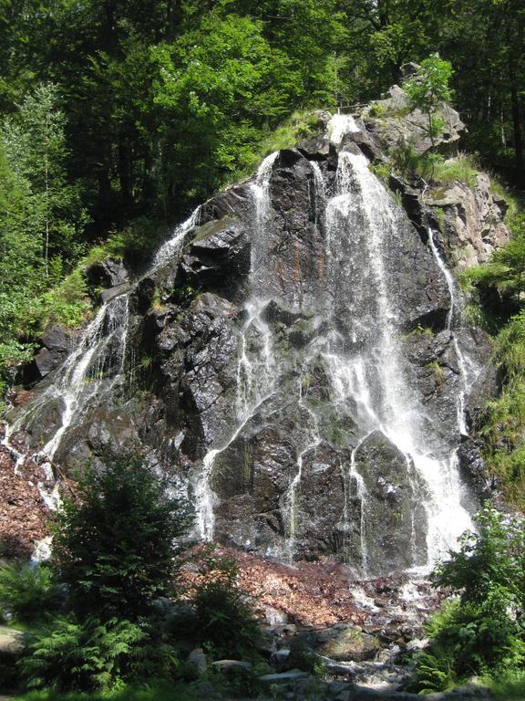 Harz Blick Daire Braunlage Oda fotoğraf