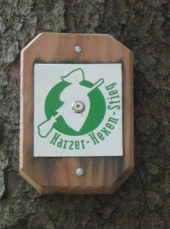Harz Blick Daire Braunlage Dış mekan fotoğraf