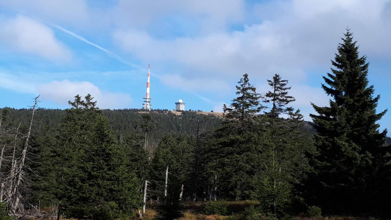 Harz Blick Daire Braunlage Dış mekan fotoğraf