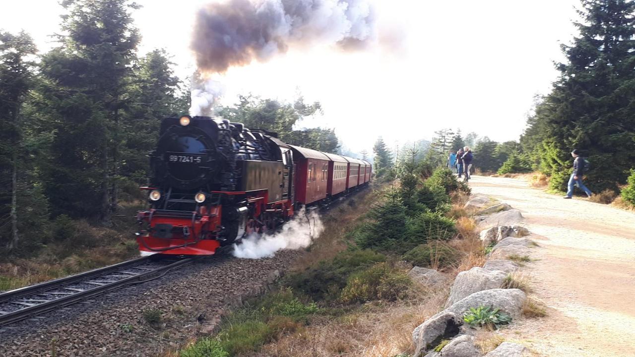 Harz Blick Daire Braunlage Dış mekan fotoğraf